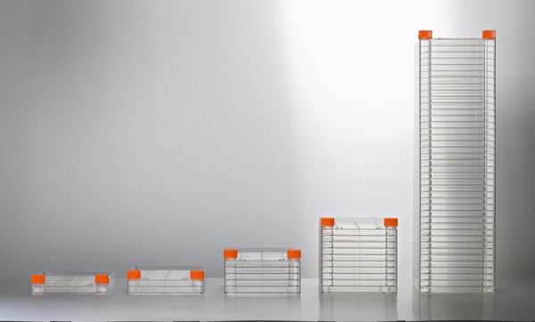 Bioprocess Scale up – ANH